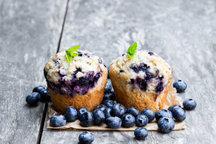 blueberry-web