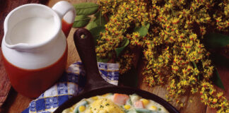 Chicken and Dumplings