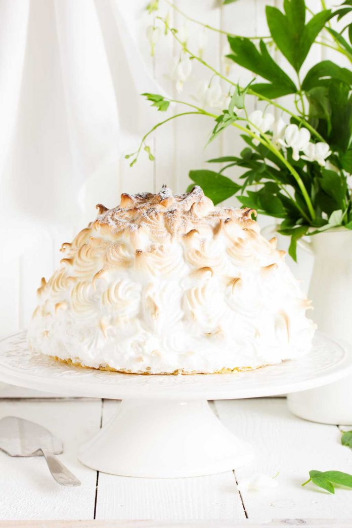 ice-cream-torte-web
