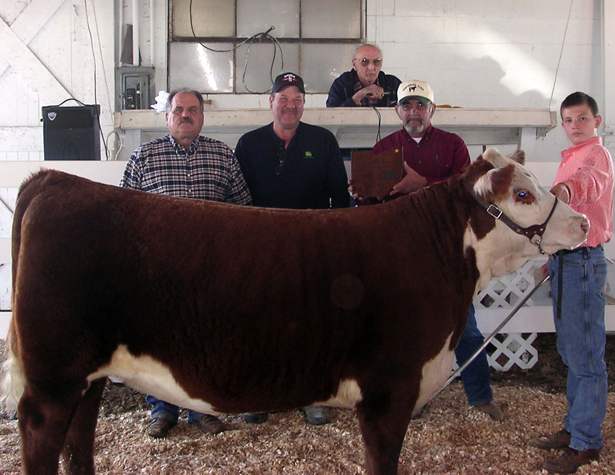 steer-shownealweb.jpg
