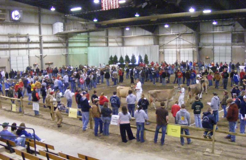 4-h-dairy-judgingweb.jpg