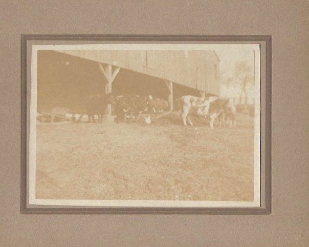 liberty-farm-circa-1910.jpg