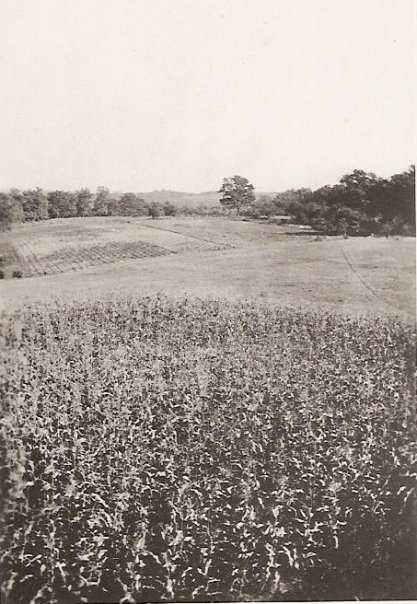 liberty-farm-circa-1930.jpg