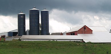 Hahn Farm