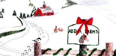 Holiday art contest