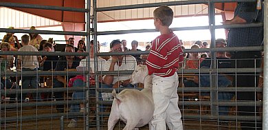 pa-county-fairslarge.jpg