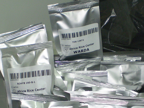 seed-packetsseed-vault.jpg