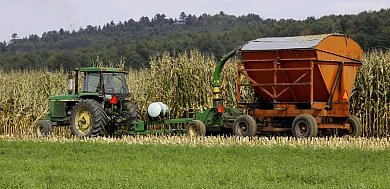 pricing-corn-silage.jpg