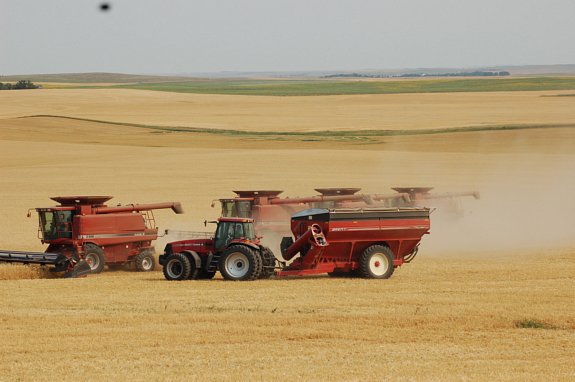 schiltz combine.smaller