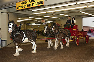 farmshow330