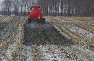 manure330