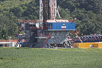 marcellus330