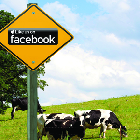 likeus290x290 farmers using social media