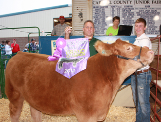 grand.steerpost Carroll County Grand Champion Steer