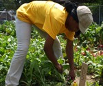 Youngstown urban farm