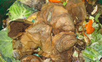 Anaerobic digesters Anaerobic digesters use organic material to create biogas