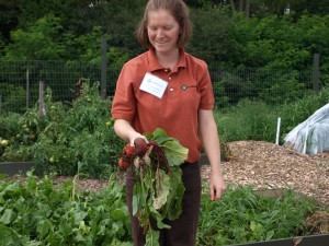 Goodness grows goodness grows urban farm