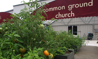 Goodness grows  Youngstown urban farming