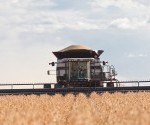 harvesting drought crops.gleaner