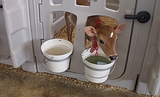 9.08Dairy Excel 330
