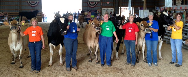 club and cows.650