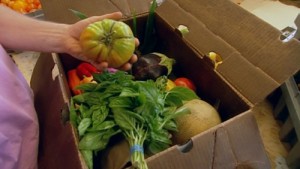 CSA contracts Photo of vegetables