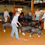 berkshire.2