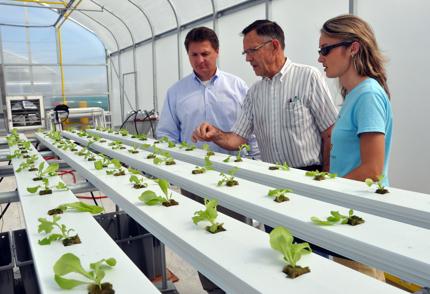 hydroponics