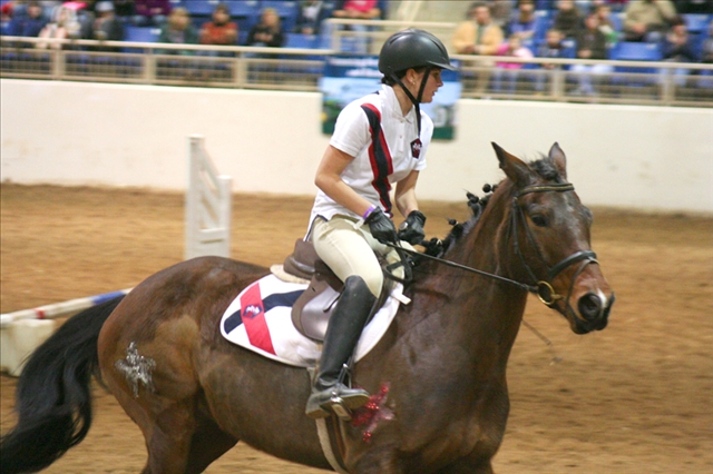 horse jumper