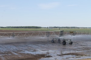 irrigation.1.