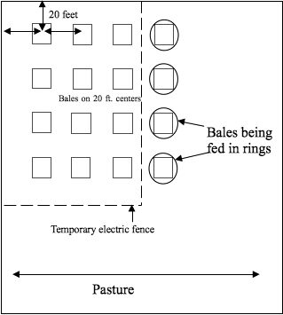 round bale feeding