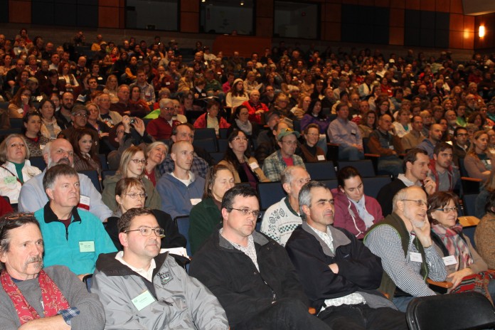 OEFFA.crowd