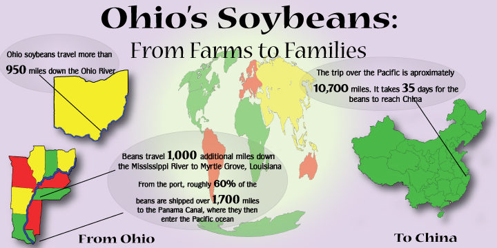 Ohio-Soybeans Ohio soybean infographic