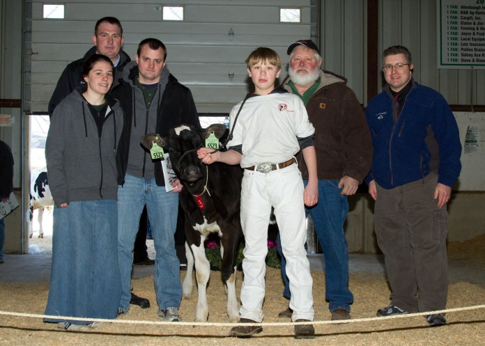 Ohio Holstein sale lot 3 Holstein sale photo