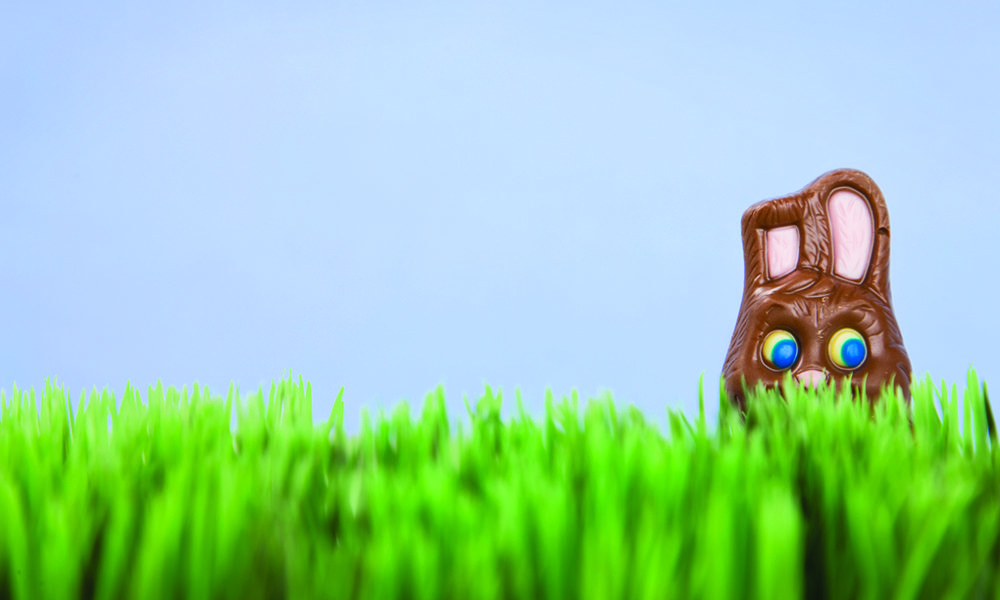 chocolate bunny in grass