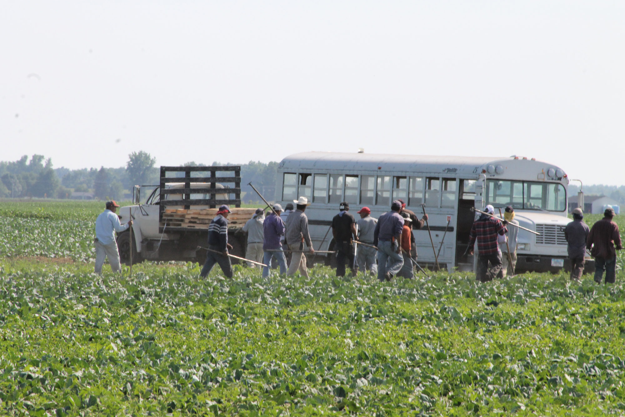 immigrants in a field with a bus
