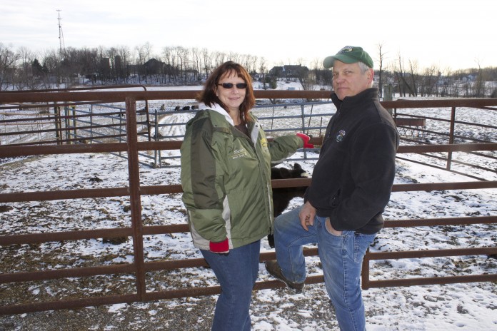ohio beef expo6