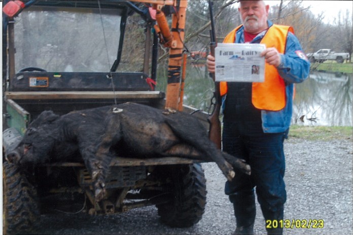 vac.denwell John Dewell, of Scio, Ohio, went wild hog hunting in the mountains of Tennessee. He got a nice boar and Farm and Dairy was there to record the kill! He shot it with a 1895 Marlin 45-70. Dewell is hoping to go bear hunting out West next year.