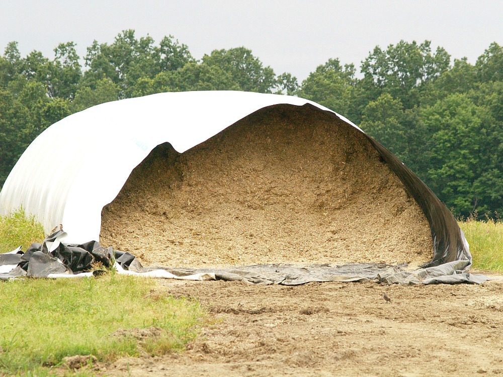 forage bag