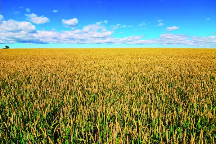 farmland farmland