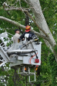 Photo: Pa. Game Commission