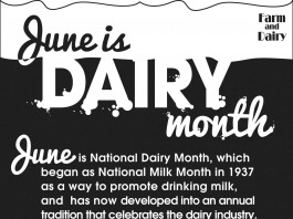 National dairy month infographic