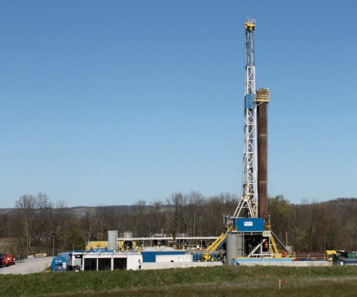 Shell7P
