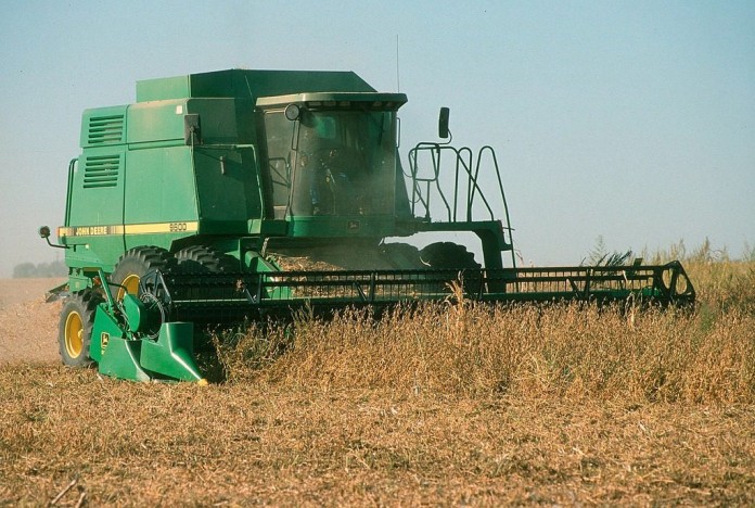 combining soybeans