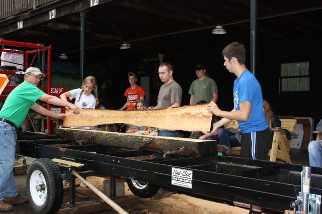 sawmill cut.JPG
