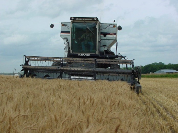 wheat combine wheat combine