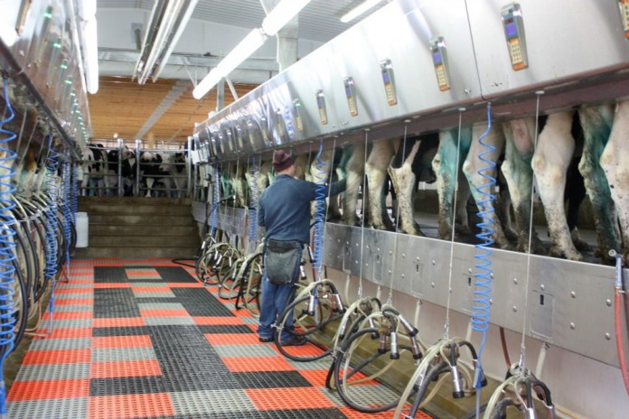 worker in parlor.JPG