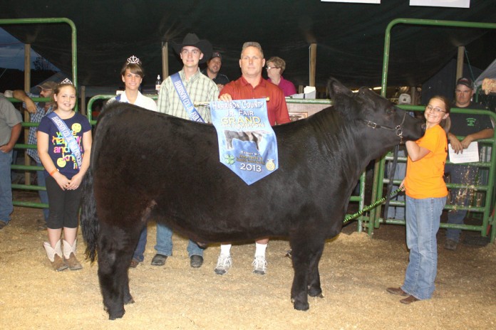 Harrison.grandchamp.steer grand champion steer