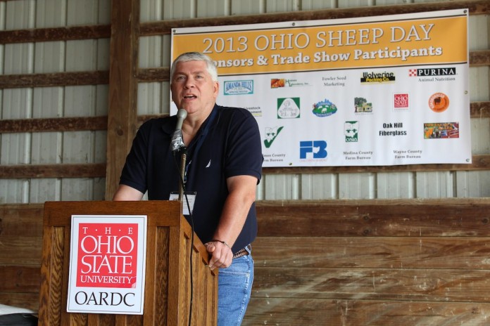 Ohio sheep.Fluharty