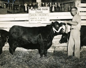 Curtis F. Hively